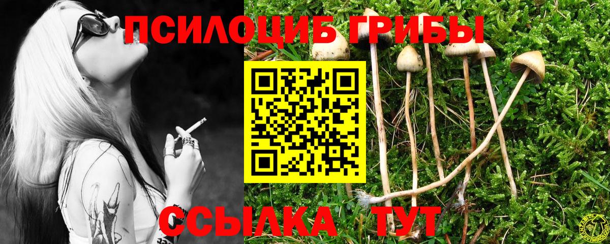 Галлюциногенные грибы мицелий Татарск